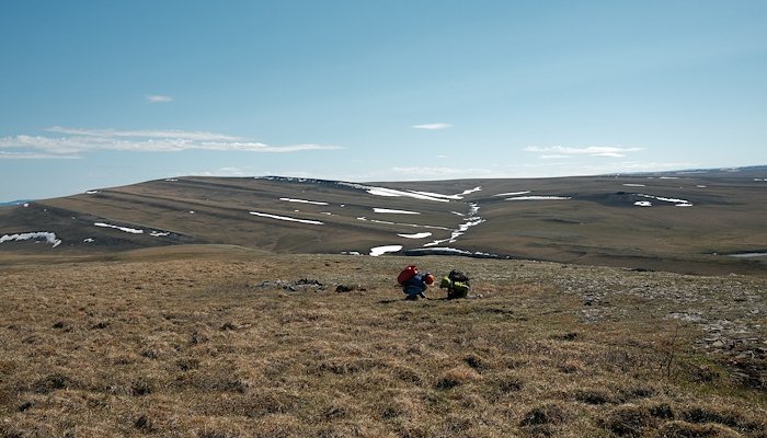 Read Our place in the food chain&nbsp; by Peak Design