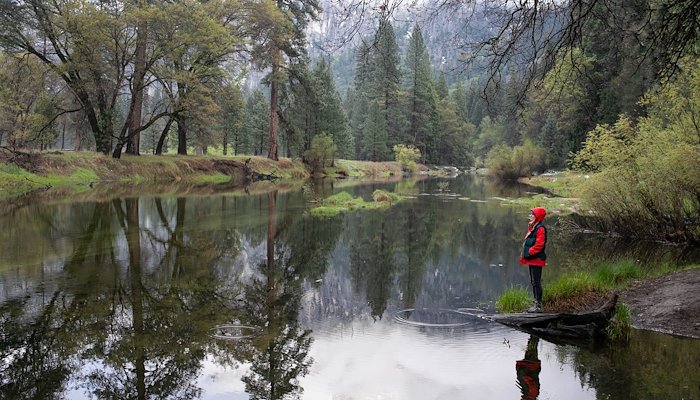 Read America's Dumbest Idea by Peak Design